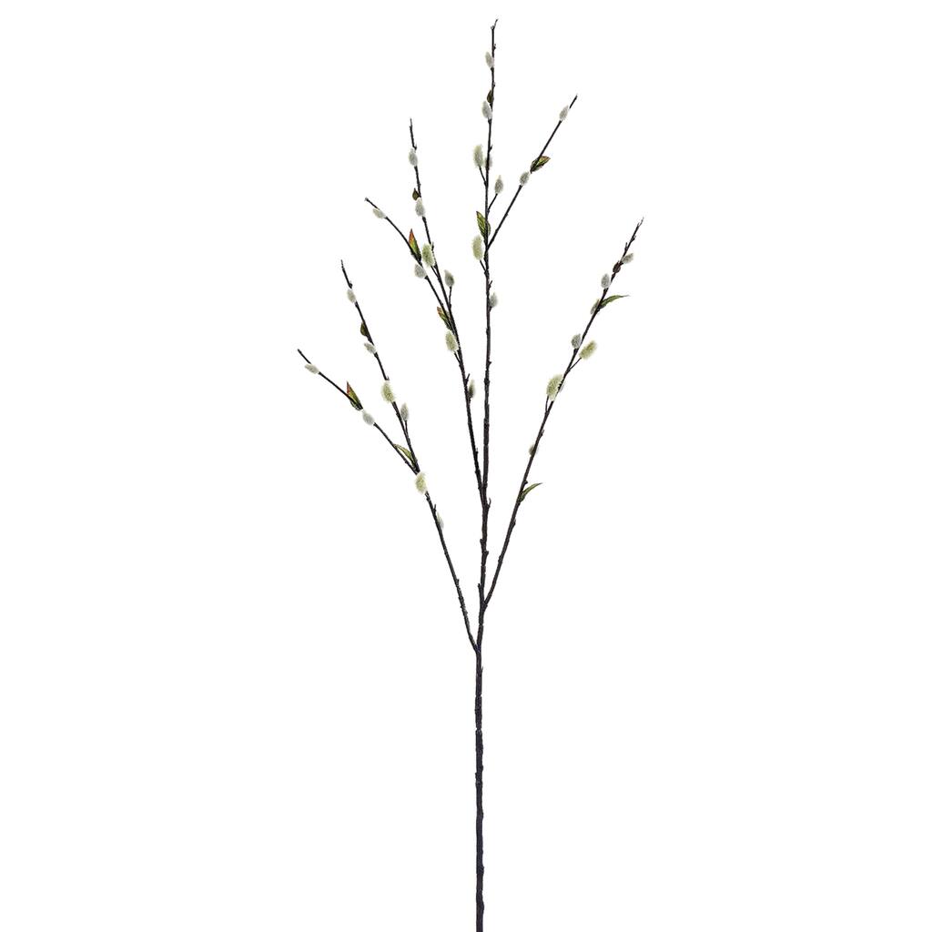 D264601S_1.jpg img